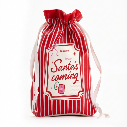 Santa's Coming Gift Bag - Minis Edition
