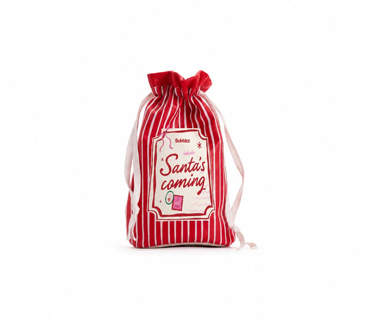 Santa's Coming Gift Bag - Minis Edition